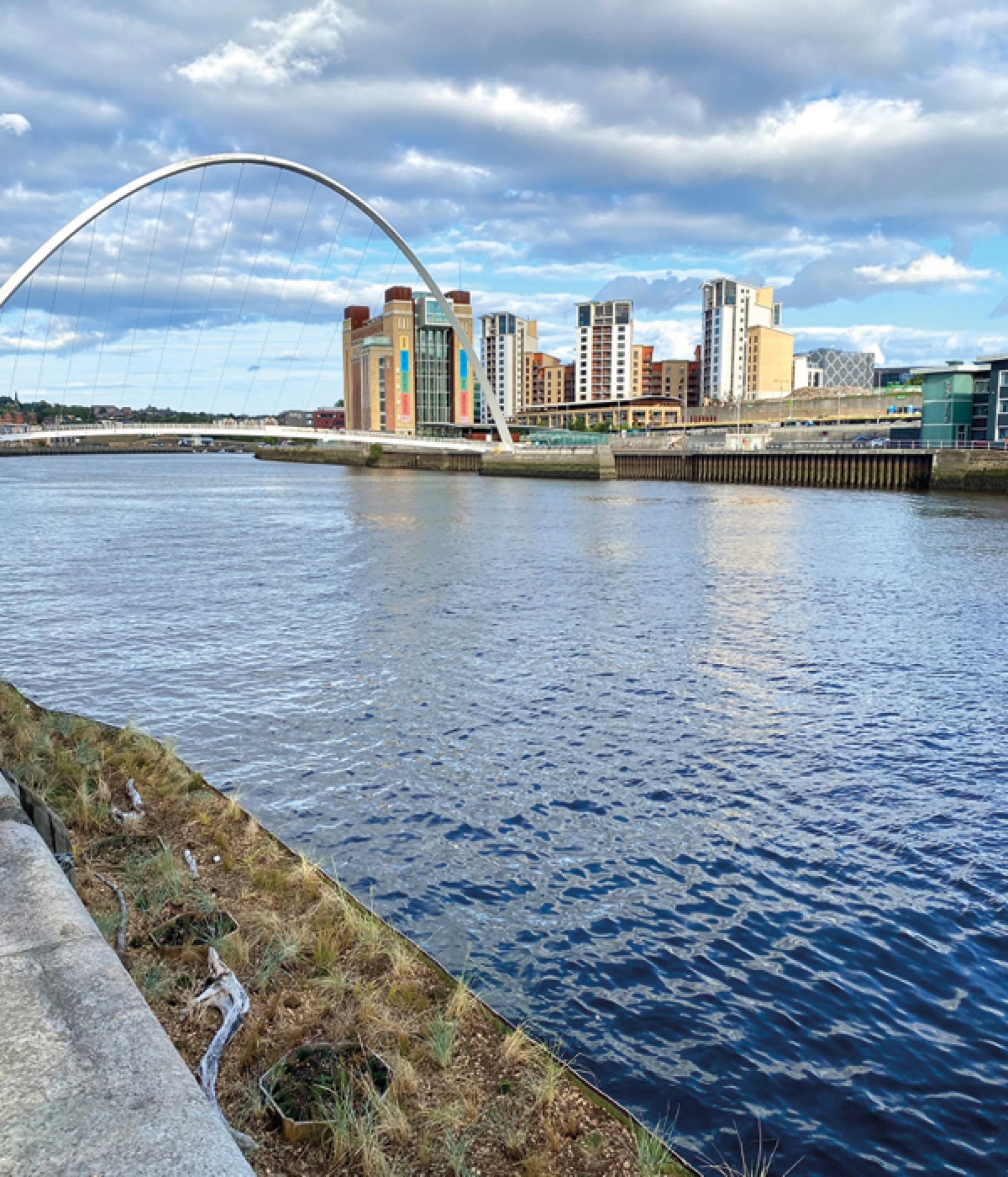 How a Floating Island on the River Tyne Will Bring Biodiversity Back to